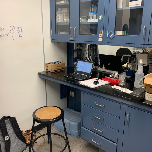2019Internship-1-Lab-1 2019Internship-1-Lab-1